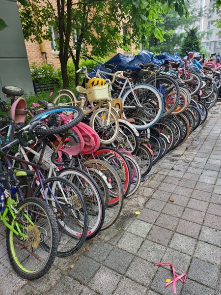 강원라이프 PC 이미지 6068687